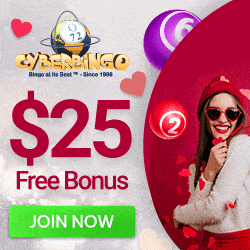 Cyber Bingo Casino Review