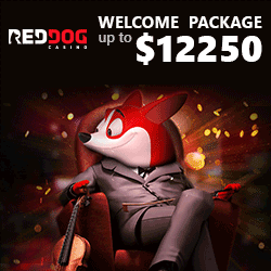 Red Dog Casino Review