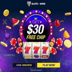 SlotsOfWins Casino Banner - 250x250