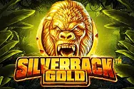 silverbackgold Video Games