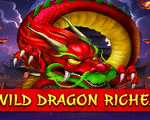Wild Dragon Riches Video Slot