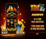 Wild Fire 7s (RTG) Slot Game